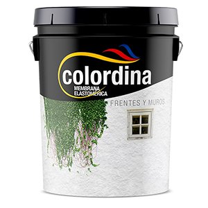COLORDINA FRENTE ELAST MARRON 1 LTS